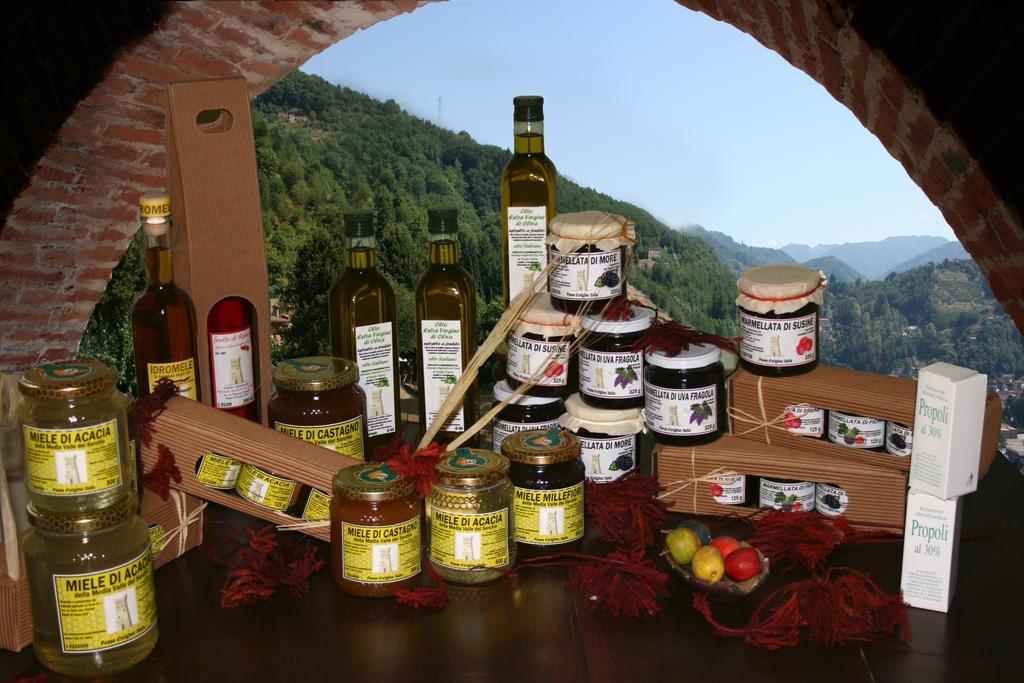 Agriturismo La Torre Bagni di Lucca Zewnętrze zdjęcie